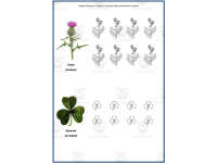 Product image #2