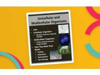 Unicellular & Multicellular Organisms – PowerPoint preview