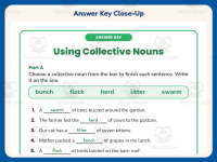 Using Collective Nouns Worksheet – 2nd Grade Grammar Practice preview 7