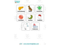 Product image #1