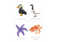 Product image #2