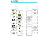 Product image #1