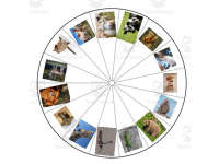 Product image #3