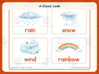 Weather Word Wall Worksheet – Kindergarten Grammar Practice preview 3