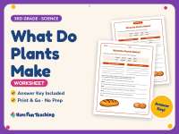 What Do Plants Make Worksheet – 3rd Grade Science Practice preview
