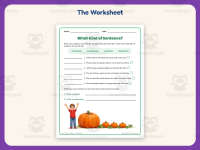 What Kind of Sentence? Worksheet – 3rd Grade Punctuation Practice preview 2