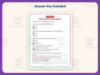 Where Can I See Hexagons? Reading Comprehension Worksheet – 3rd Grade preview 3