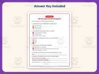 Where Can I See Rectangles? Reading Worksheet – 3rd Grade Geometry preview 3