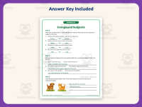 Who or What? Compound Subjects Worksheet – 3rd Grade Practice preview 3