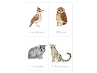 Product image #3
