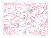 Product image #1