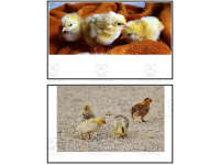 Product image #4