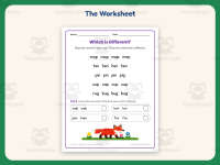 Words Same Different Worksheet – 1st Grade Compare and Contrast preview 2