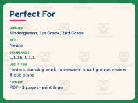 Write the Noun Worksheet – 1st Grade Nouns Practice + Answer Key preview 6