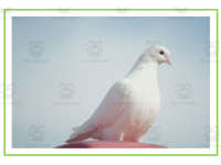 Product image #2