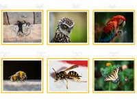 Product image #1