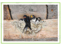 Product image #4