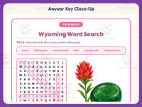 Wyoming Word Search Worksheet – 3rd Grade States Practice + Answer Key preview 7