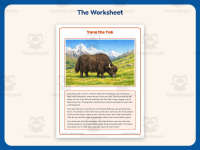 Yana the Yak Reading Comprehension Worksheet – 2nd Grade Animals preview 2