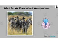 Product image #5