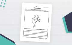Earth Sciences