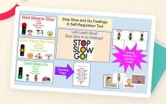 Special Education Needs (SEN)