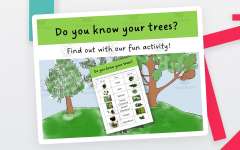 Activities