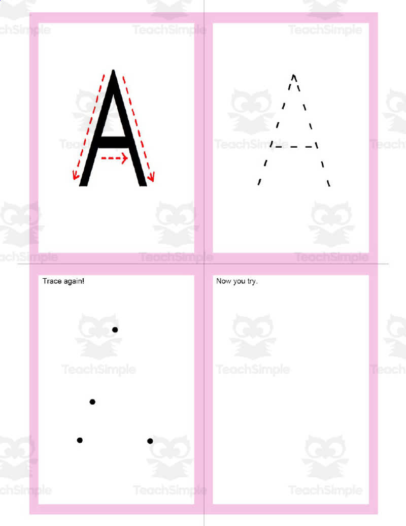 Bird Box Flashcards by Teach Simple