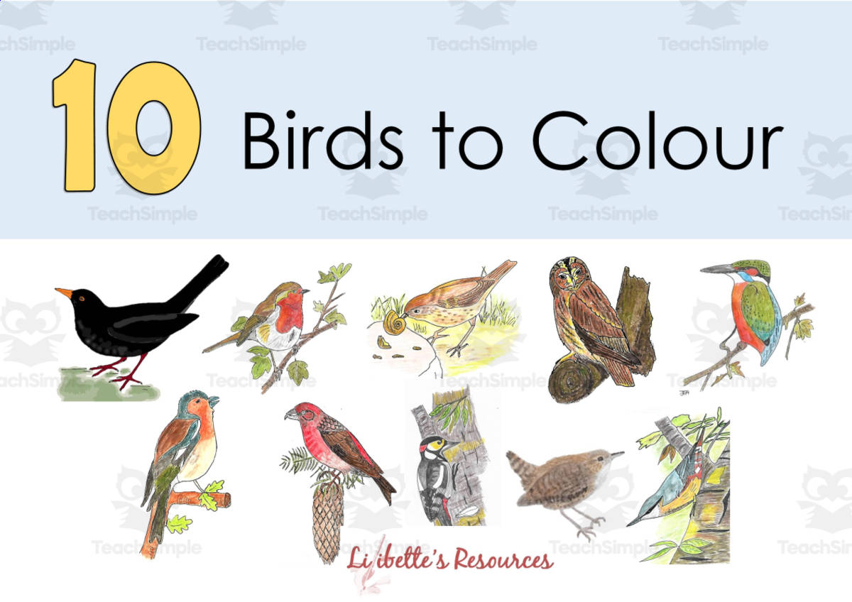 An educational teaching resource from Lilibette's Resources entitled 10 Birds to Colour downloadable at Teach Simple.
