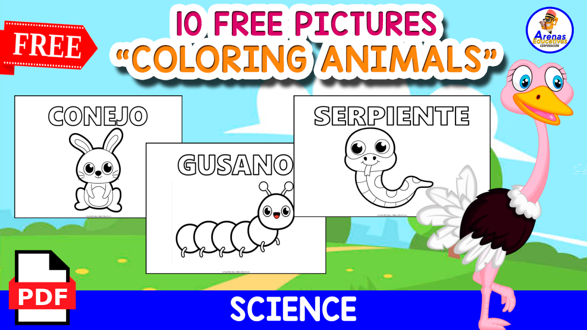 An educational teaching resource from EDITORIAL LAURA EDUCA entitled 10 FREE PICTURES | COLORING ANIMALS IN SPANISH downloadable at Teach Simple.