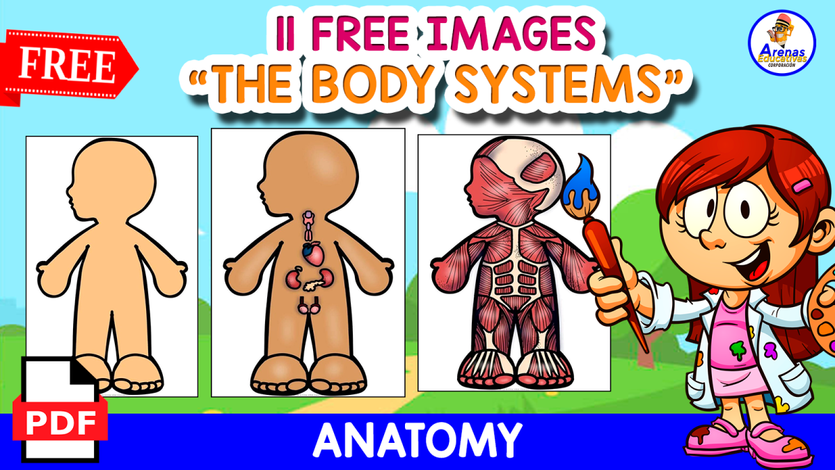 An educational teaching resource from EDITORIAL LAURA EDUCA entitled 11 BODY SYSTEMS | CUT AND PASTE downloadable at Teach Simple.