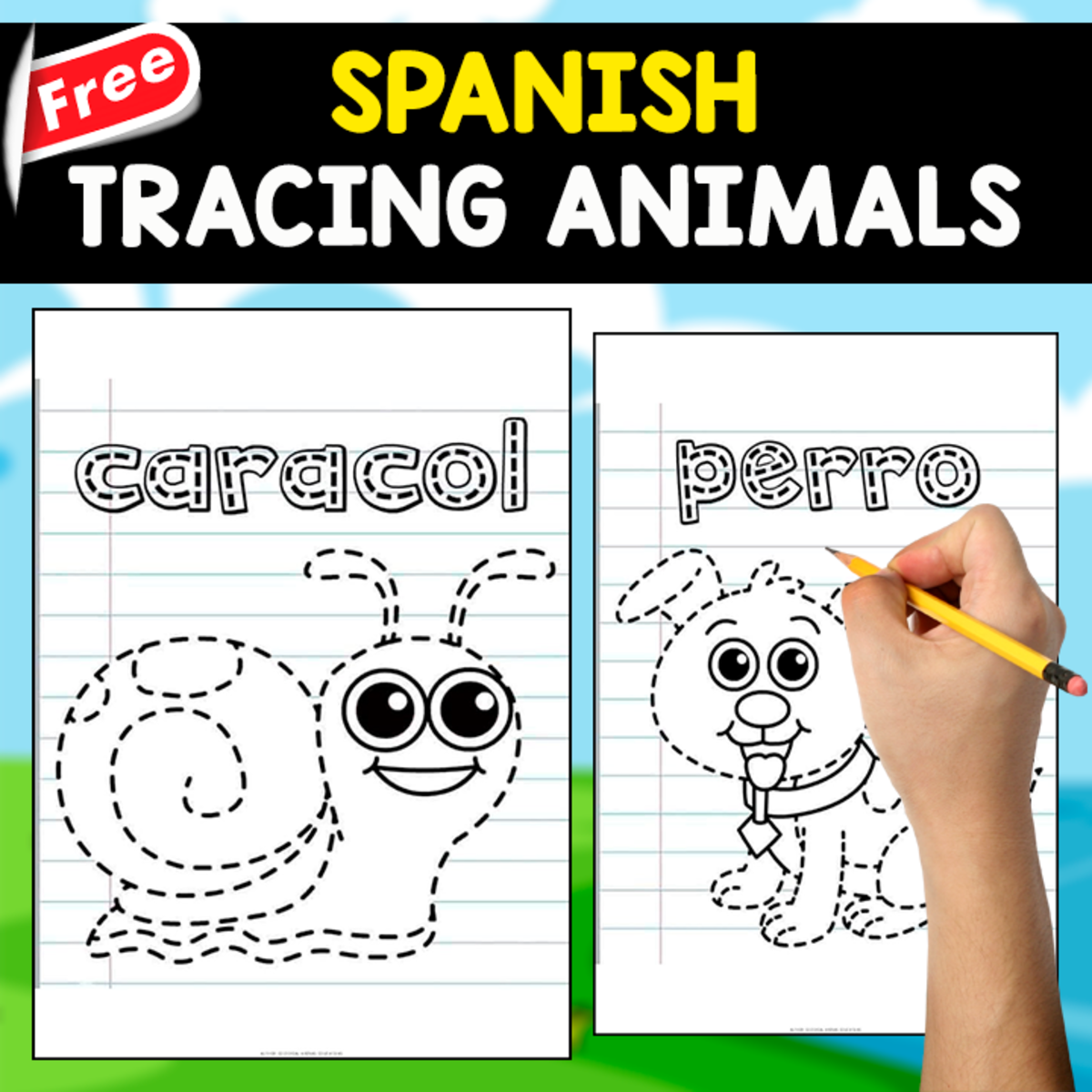 An educational teaching resource from EDITORIAL LAURA EDUCA entitled 11 FREE SPANISH WORDS | LOS ANIMALES downloadable at Teach Simple.
