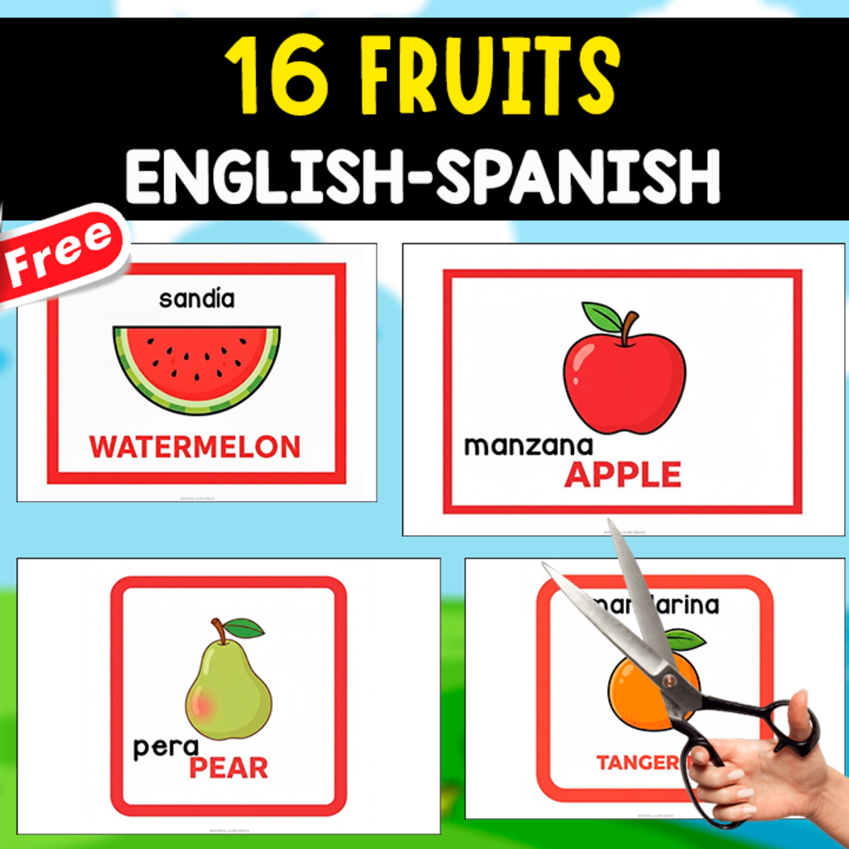 An educational teaching resource from EDITORIAL LAURA EDUCA entitled 16 FRUITS FLASHCARDS | ENGLISH AND SPANISH downloadable at Teach Simple.