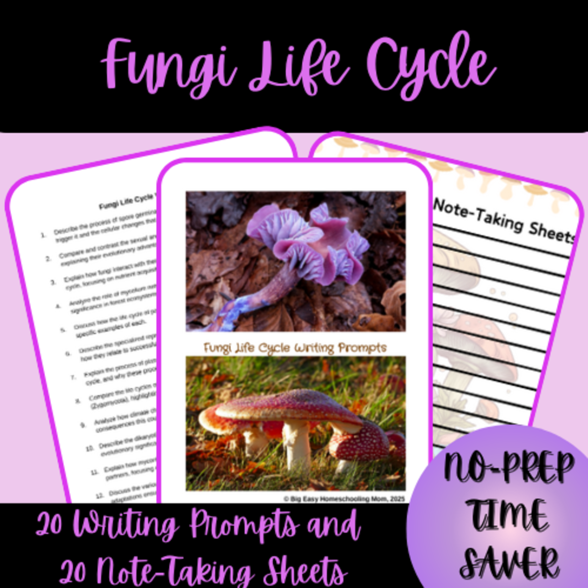 An educational teaching resource from Homeschool with Big Easy Homeschooling Mom entitled 20 Fungi Life Cycle Writing Prompts & 20 Note-Taking Sheets downloadable at Teach Simple.