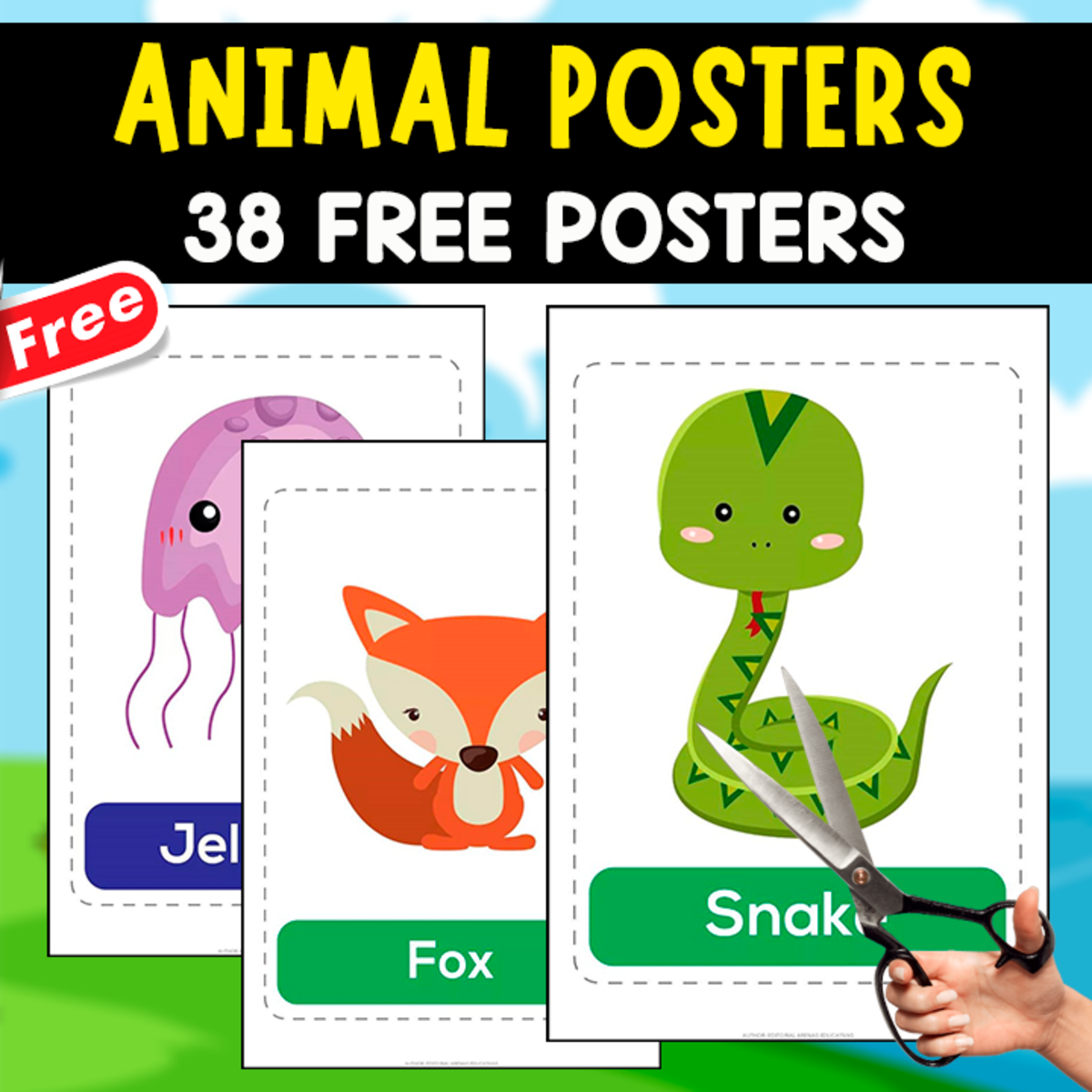 An educational teaching resource from EDITORIAL LAURA EDUCA entitled 38 POSTERS OF ANIMALS | IN ENGLISH downloadable at Teach Simple.