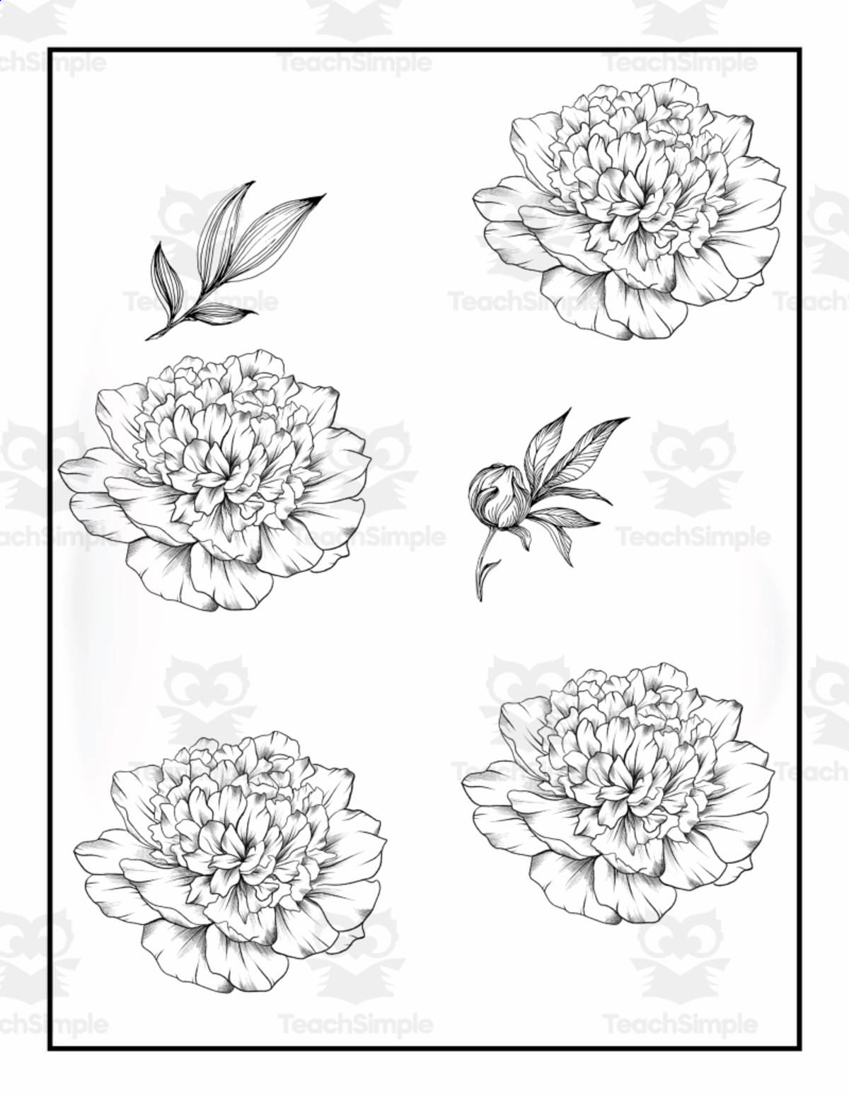 An educational teaching resource from Funny Easy Learning entitled 50 Flowers Coloring Pages For Adults. Stress Relief Coloring Book For Print downloadable at Teach Simple.