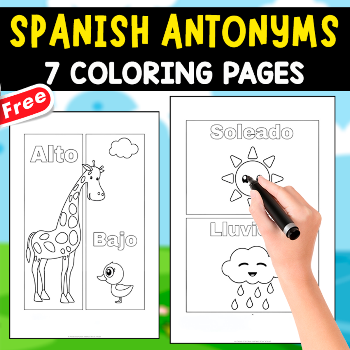 An educational teaching resource from EDITORIAL LAURA EDUCA entitled 7 ANTONYMS IN SPANISH | COLORING PAGES downloadable at Teach Simple.