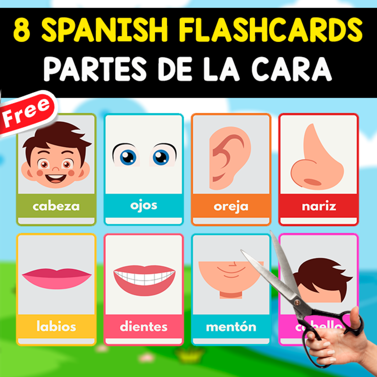 An educational teaching resource from EDITORIAL LAURA EDUCA entitled 8 SPANISH FLASHCARDS | LAS PARTES DE LA CARA downloadable at Teach Simple.