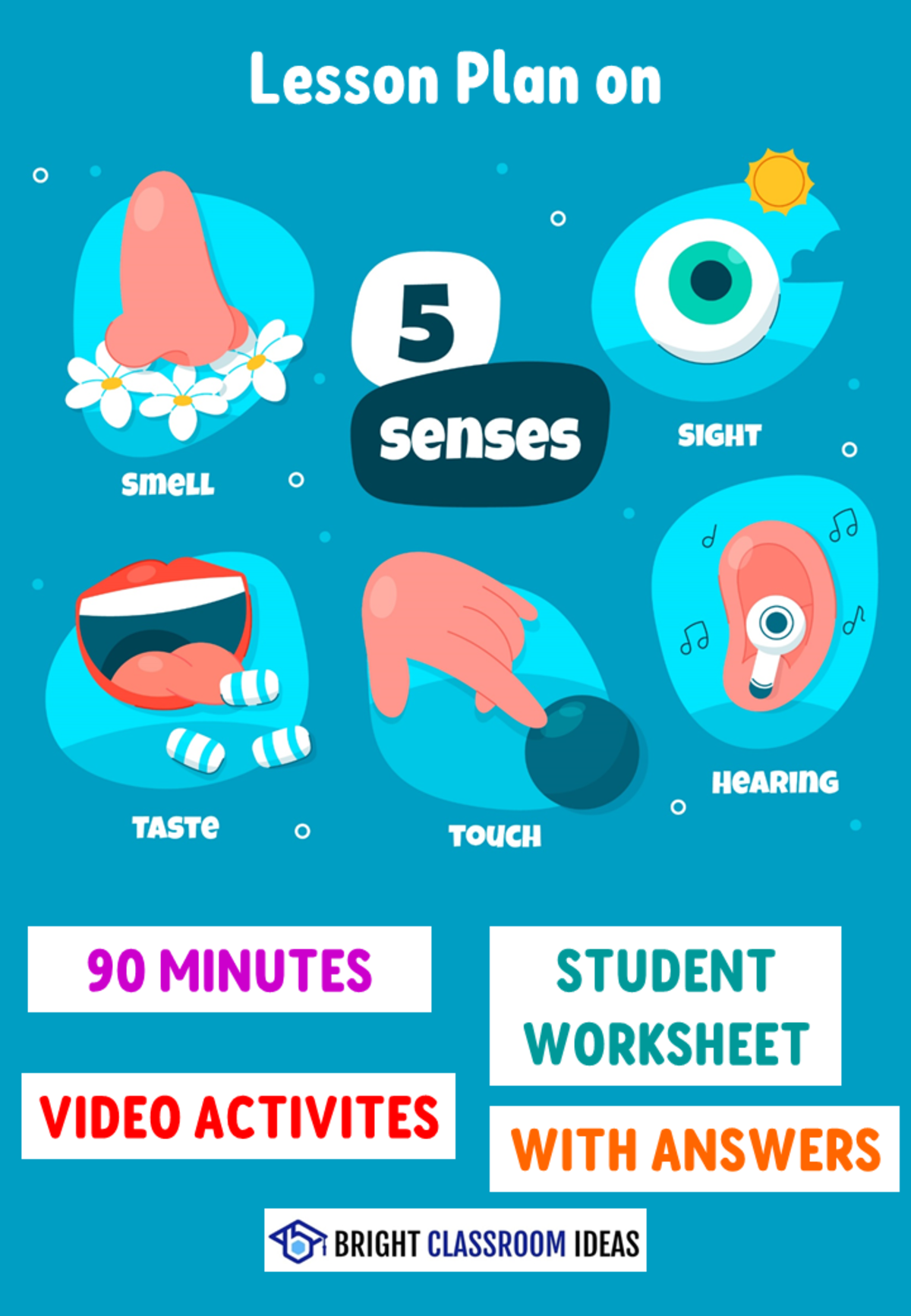 An educational teaching resource from Bright Classroom Ideas Marketplace entitled 90' Lesson on The Five Senses downloadable at Teach Simple.