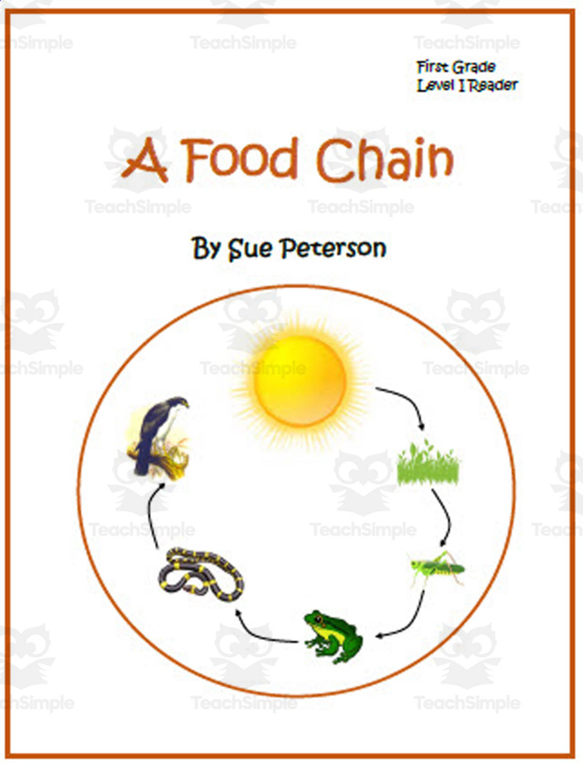 An educational teaching resource from Sue Peterson entitled A Food Chain downloadable at Teach Simple.
