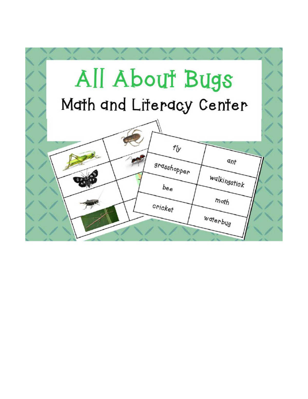 An educational teaching resource from Subplanners by Jean Snowden entitled All About Bugs - Full Day Substitute Plans downloadable at Teach Simple.