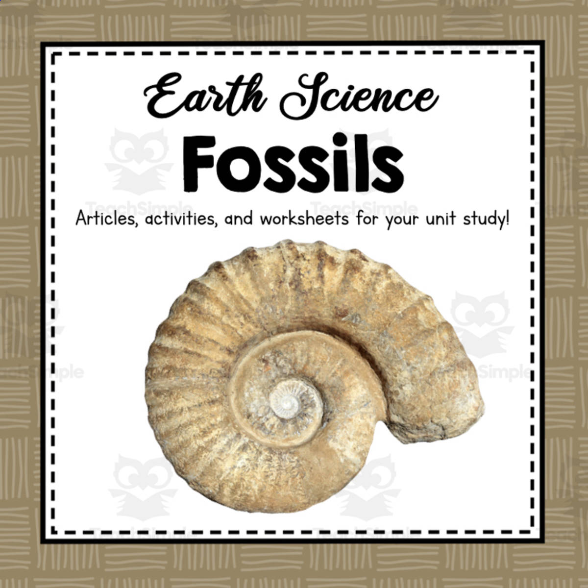 An educational teaching resource from Simply Schoolgirl entitled All About Fossils | Earth Science Unit downloadable at Teach Simple.