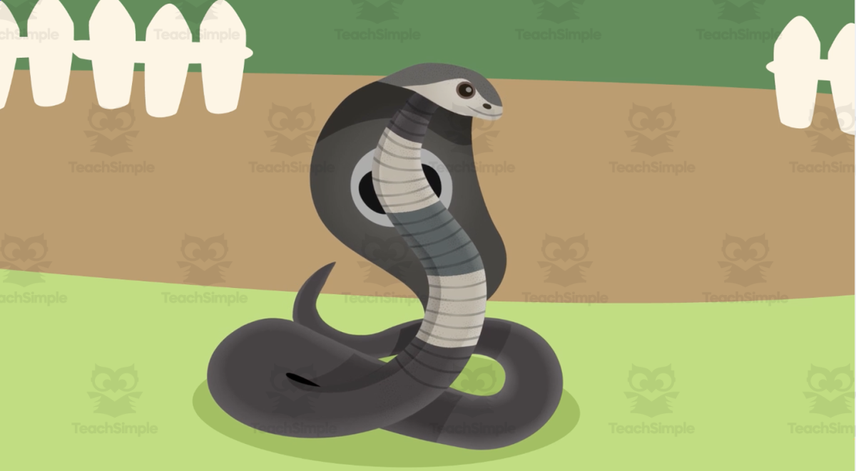 An educational teaching resource from Educational Voice entitled All About Snakes | Five Facts Video Lesson downloadable at Teach Simple.