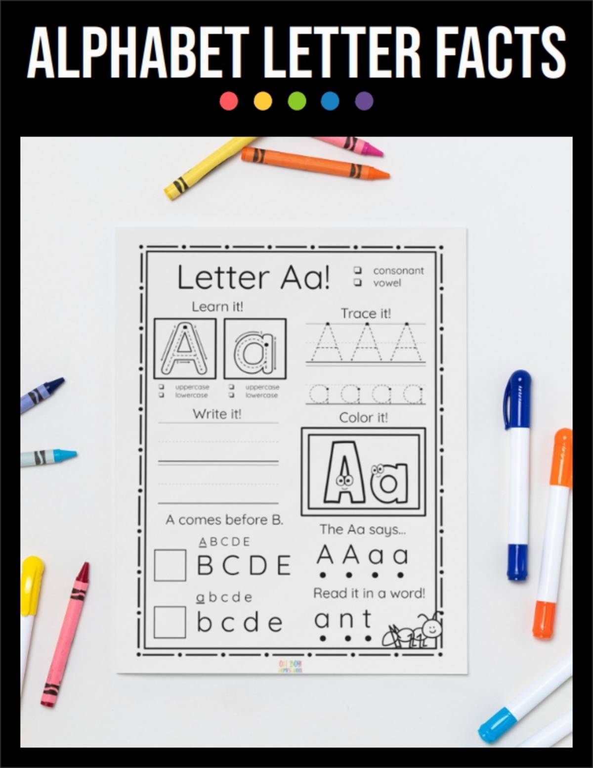 An educational teaching resource from Oh Boy Homeschool entitled Alphabet Letter Facts - Letter of the day Booklet downloadable at Teach Simple.