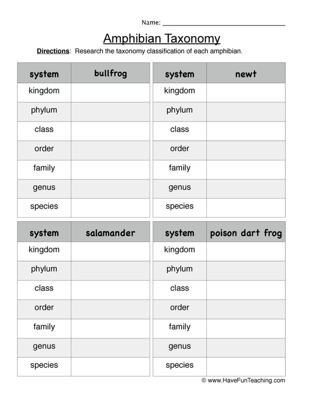 An educational teaching resource from Have Fun Teaching entitled Amphibian Taxonomy Worksheet downloadable at Teach Simple.