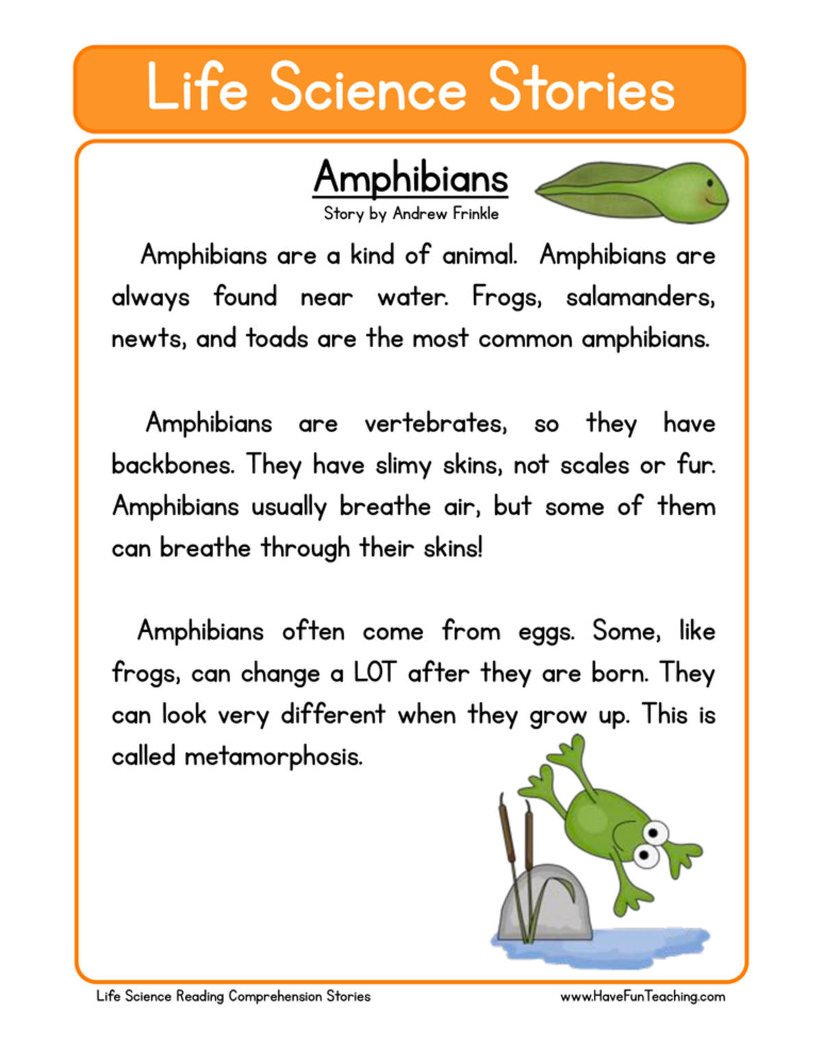 An educational teaching resource from Have Fun Teaching entitled Amphibians Life Science Reading Comprehension Worksheet downloadable at Teach Simple.