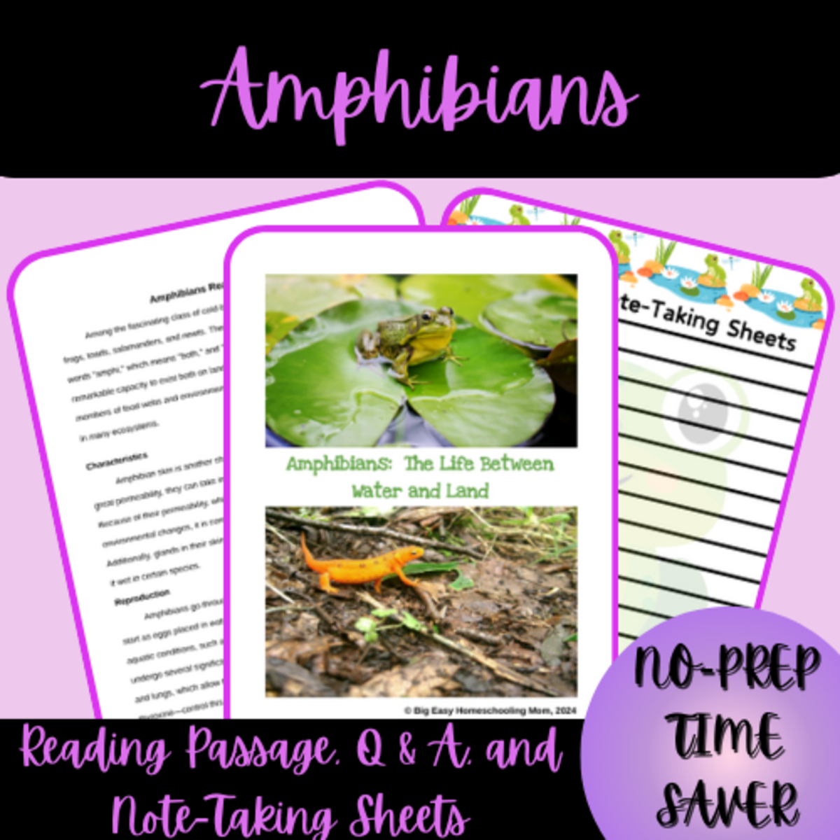 An educational teaching resource from Homeschool with Big Easy Homeschooling Mom entitled Amphibians Reading Passage, Q & A, and Note-Taking Sheets downloadable at Teach Simple.