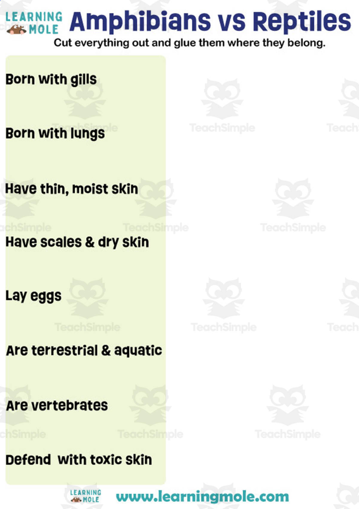 An educational teaching resource from Educational Voice entitled Amphibians vs Reptiles Activity downloadable at Teach Simple.