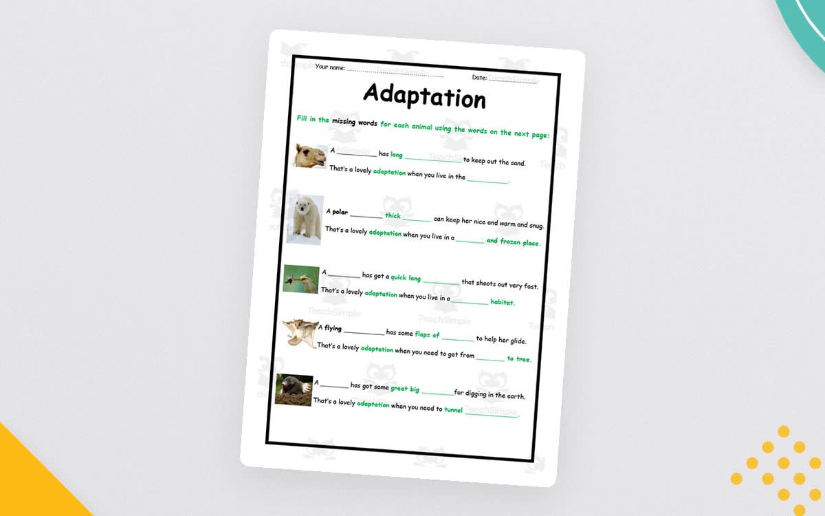 An educational teaching resource from Elementary Resources 4 U entitled Animal Adaptations Worksheet – Elementary Science downloadable at Teach Simple.