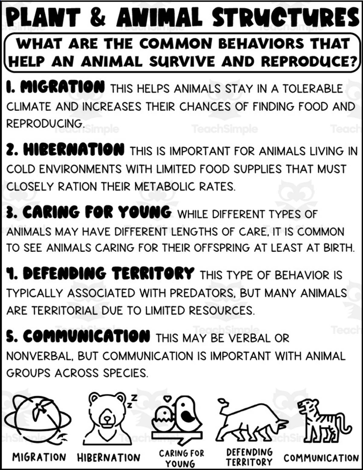 An educational teaching resource from Teaching on the Island entitled Animal Behaviors Printable downloadable at Teach Simple.